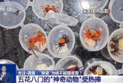 馆陶@铲屎官们 养“异宠”或危害国家安全 这些行为违法了