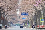 馆陶共建“花园城市” 北京这场议政会“百花齐放”
