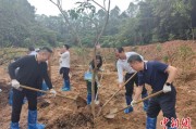 馆陶广州已打造首批32处“绿美宗教活动场所”