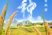 馆陶芒种节气小知识来了 夏种作物都有什么？