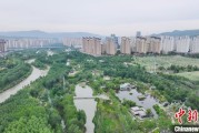 馆陶西宁市举办六五环境日主题宣传活动