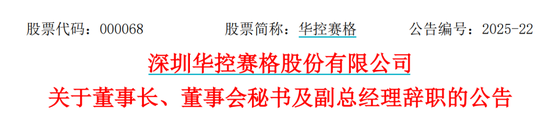 华控赛格董事长、(🔃)董秘、副总经理三高管同日辞职(🎉)